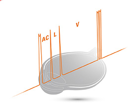 Graph Biometry 72dpi